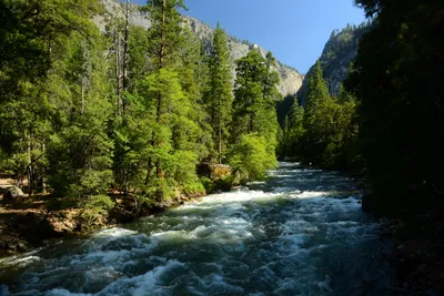 DSC_2409 (Large).JPG